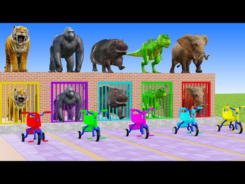 Dinosaur Elephant Gorilla Hippo Paint Animals Game Funny 3d Animal Escape Room Challenge Cage Game