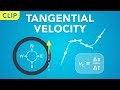 Circular Motion and Velocity Concepts