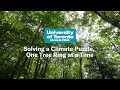 Tree Ring Research and Its Impacts