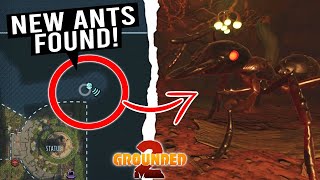 You Won't Believe What Grounded 2 Just Added Out of Bounds AFTER THE UPDATE!