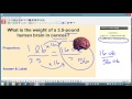 Measurement Conversions and Proportions