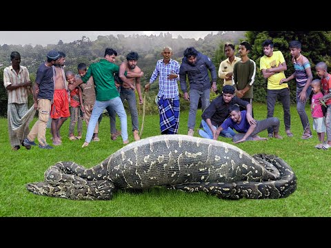 Anaconda Snake Attack Boys In Forest | An Anaconda Snake Attack Brief Story 8