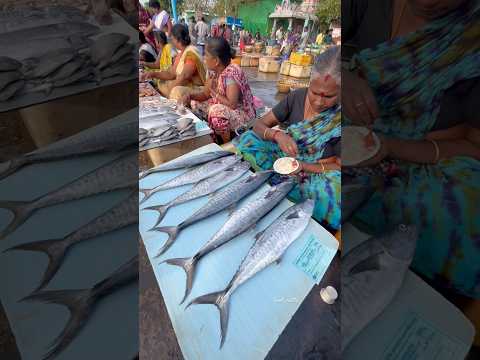 Kasimedu market Meenu maa💢❤️‍🔥 king fish #kasimedu #fishingvideo #fish