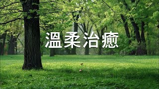 《100%無廣告 - 溫柔治癒音樂》：治癒音樂，安撫你的每一根神經 - 調節心臟和血管的放鬆音樂，放鬆，自在，幫助舒緩抑鬱症和恐慌症