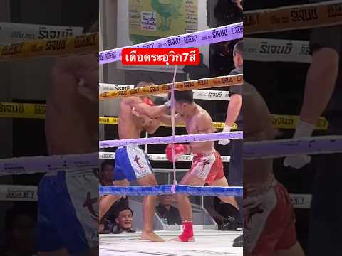 เดือดระอุ วิก7สี 🔴เดชเพชร แลกเดือด 🔵เกาะเต่า เวทีมวยช่อง7สี 16/11/68 #มวยไทย #muaythai #ไฮไลท์