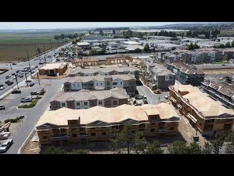 Palmera welcome video