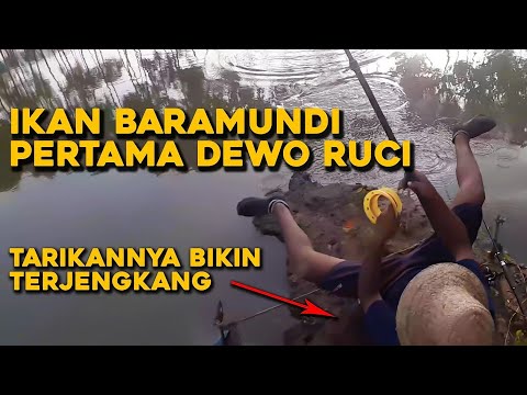 😂 Narik ikan Kakap sampai Kejengkang 😂   🔥 Pertama kali Dewo Ruci narik Ikan Kakap 🔥