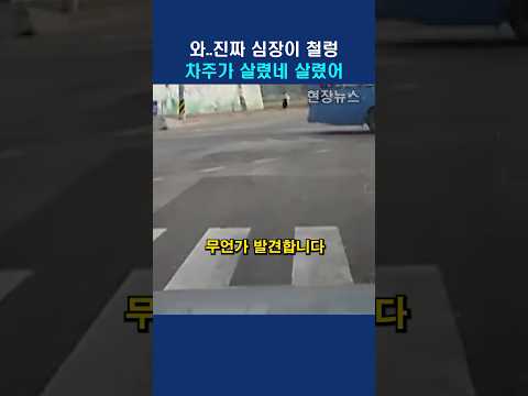 찰나의 순간 센스있는 운전자의 놀라운 행동