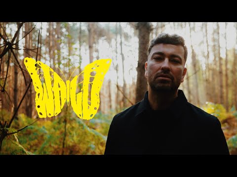 Marteria - Wald (Offizielles Musikvideo)