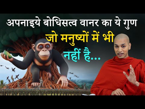 अपनाइये बोधिसत्व वानर के इस गुण को | सच्चे नायक की पहचान | Mahakapi Jataka | Bhante Nirodh