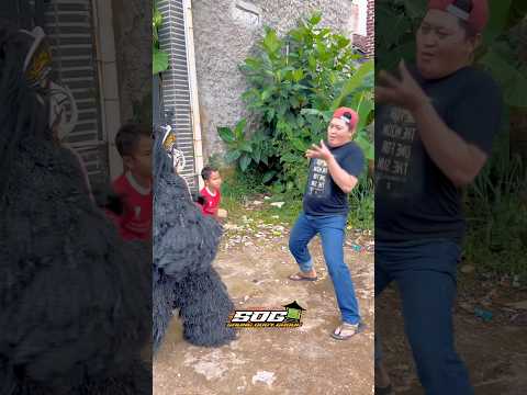 Dapat laporan dari dede gemes bapanya bocil sakti yang lagi sakit pinggang nolongi bocif ff