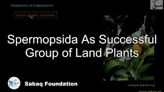 Spermopsida As Successful Group of Land Plants