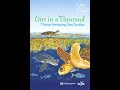 Sea Turtle Biology and Physiology
