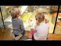 Understanding the Dairy Production Process