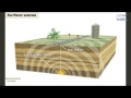Seismic Waves and Earthquake Effects