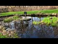 Ecosystem Components and Functions