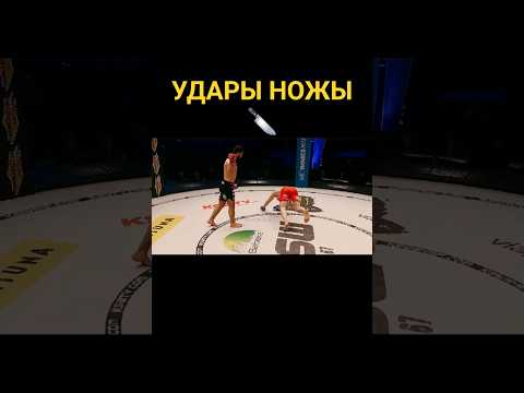 ВСПЫШКА📸 Новый Анзор Ажиев|