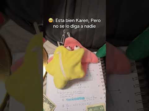 Todos odiamos a esta Karen, Pronto se irá de aquí 🤣 #peluche #humor #estrella