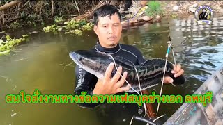 ล่าชโดกันครับควบคุมให้สมดุลเพื่อลดปริมาณปลานักล่ารักษาปลาประจำถิ่น