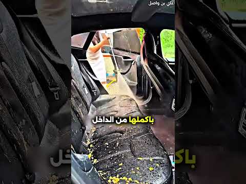 تشتري سيارة زوجها الجديدة بطريقة مميزة! ❤️