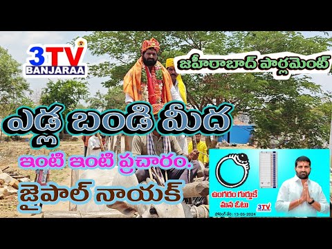 ఎడ్లబండి మీద ఎన్నికల ప్రచారం. చేసిన జహీరాబాద్ పార్లమెంట్ స్వాతంత్ర అభ్యర్థి జైపాల్ నాయక్