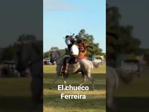 especial Chueco Ferreira