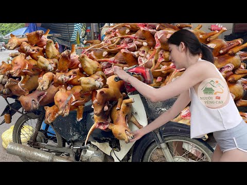 ĐỊA ĐIỂM BUÔN BÁN THỊT CHOÁ LỚN NHẤT TOÀN QUỐC / KỸ NĂNG LỌC THỊT CHOÁ SIÊU NHANH