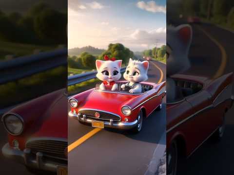 Both cute kittens of cat are driving car at street #cat #cutecat #catlover