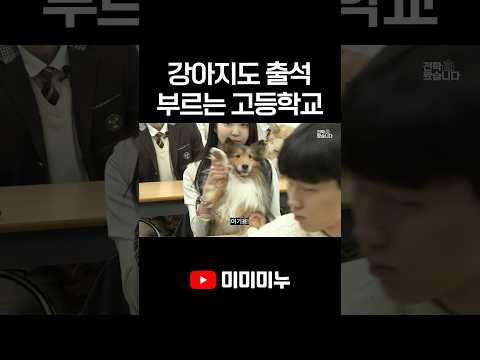 강아지도 출석 부르는 고등학교