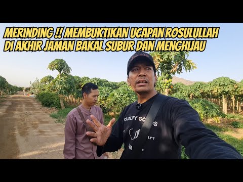MERINDING !! MELIHAT PINGGIRAN MAKKAH SEMAKIN SUBUR DAN MENGHIJAU