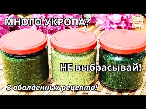 🌿 Укроп на Зиму: 3 Секрета, Которые Вы Не Знали! Как сохранить свежий укроп надолго?