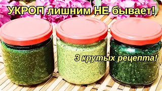 🌿 Как сохранить СВЕЖИЙ УКРОП надолго? 🤔 3 СЕКРЕТА, которые вы НЕ знали!