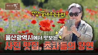 [테마기행 길] 울산의 또 다른 모습, 울산의 봄 | MBC경남 240614 방송 다시보기
