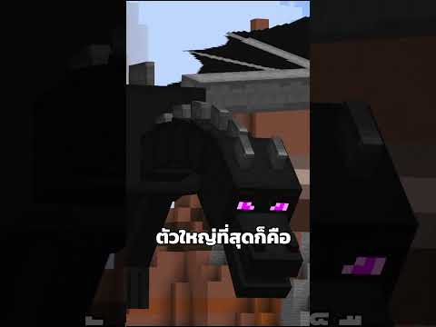 ที่สุดของเกม #minecraft #merrust #พี่หมื่นรัก