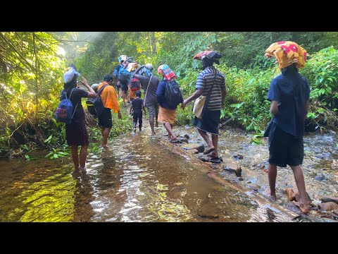 Sabarimala pedda padham || 54 km Trekking || Deep Forest || Dangerous || Vikram Vihari