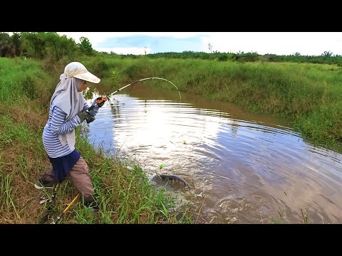 JANTUNGAN !! STREK ikan besar MELEBIHI DUGAAN,MANCING IKAN BESAR PAKAI UMPAN DAGING T-REK.MAMA TOMAN