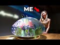 Super Shrimp Habitat and Care