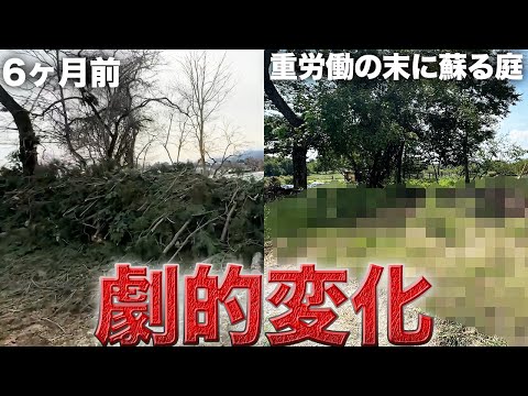 【激変】足の踏み場の無い汚庭が重労働の末に蘇る…【廃墟復興542日目】