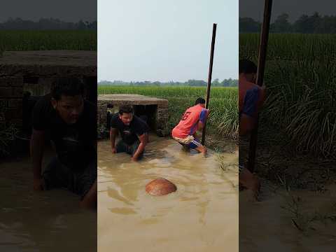 গুপ্তধণ