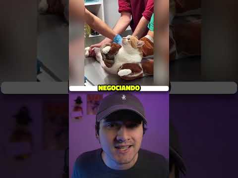Gritos Cortados Perfectamente  Parte 2 😮#shorts