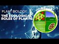Plant Roles in Ecosystems and Conservation