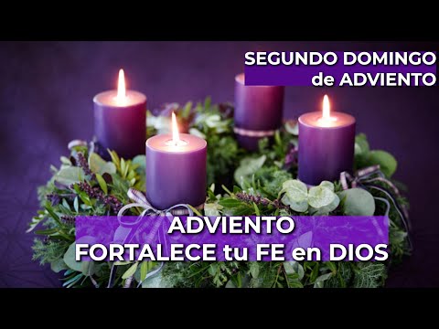 FE en ADVIENTO - Oración por MILAGROS y PROVISIÓN en el Santísimo | Alimento de Fe