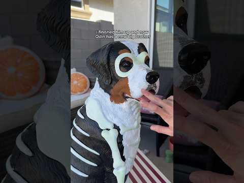 I’m painting the viral Home Depot Halloween dog to look like my dog! #yardecor #diy