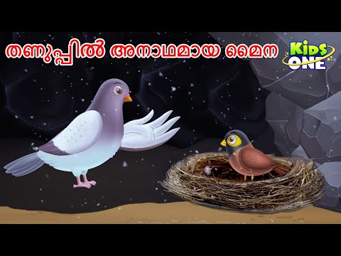 തണുപ്പിൽ അനാഥമായ മൈന | The Orphaned Myna in the Cold Story | Malayalam Katha | Malayalam Fairy Tales