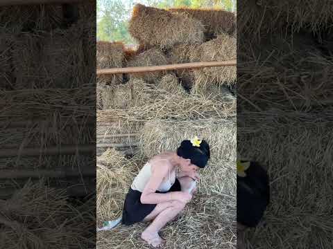 ฟ้าว หลาย # เพลงไทย #ศิลปินไทย #เพลงฮิต # วัฒนธรรมไทย #ฟังเพลงออนไลน์ # เพลงใหม่ #ฟ้าว หลาย วิดีโอ