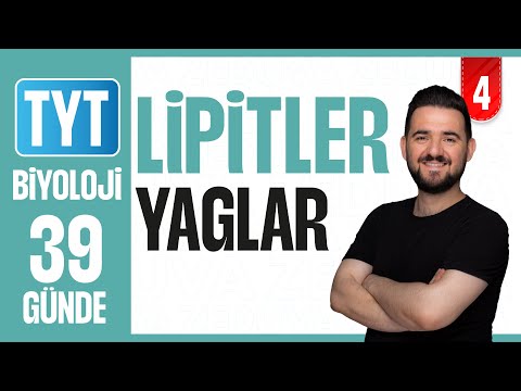 Lipitler(Yağlar) - Konu Anlatımı | 39 GÜNDE AYRINTILI TYT BİYOLOJİ KAMPI 2026-27 | 4