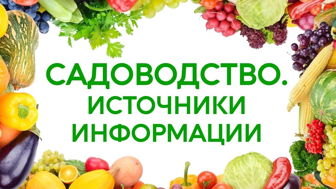Сад. Как в интернете быстро ориентироваться