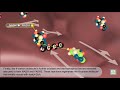 Glycolysis and Krebs Cycle Quiz