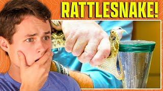 Deadliest Job in America (Snake Milker) - Ray Reacts!