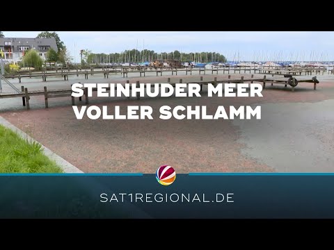 „Schlammassel“ am Steinhuder Meer